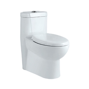 Picture of Single Piece WC