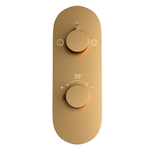 Picture of Aquamax Exposed Part Kit of Thermostatic Shower Mixer with 2-way diverter - Gold Matt PVD