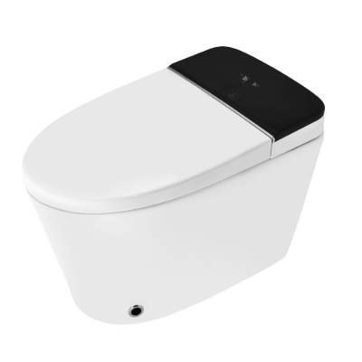 Picture of Fully Automatic Rimless Floor Mounted WC