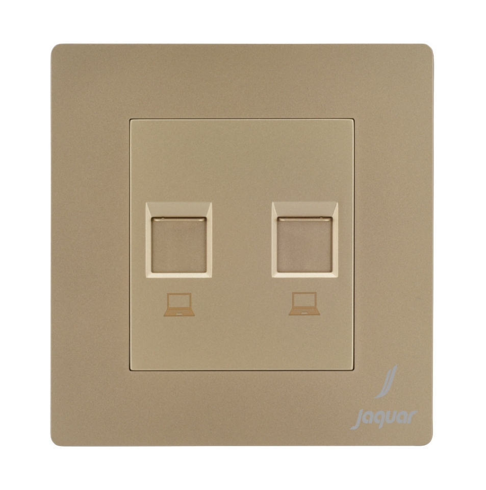 Picture of Double Computer Socket - Gold