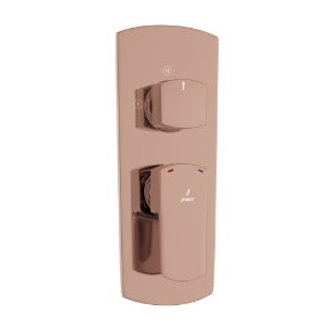 Picture of Aquamax Exposed Part Kit of Single Lever Shower Mixer - Blush Gold Bright PVD
