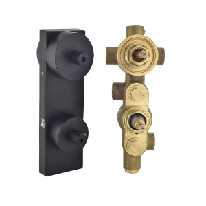 Picture of ऐक्वामैक्स कनसील्ड बॉडी ऑफ थर्मोस्टैटिक शॉवर मिक्सर