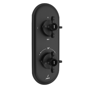 Picture of Aquamax Thermostatic Shower Mixer - Black Matt