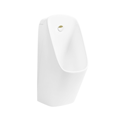 Picture of Urinal