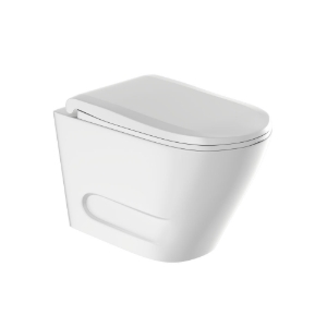 Picture of Rimless Blind Installation Wall Hung WC - White Matt