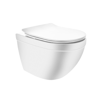 Picture of Rimless, Blind  Installation Wall Hung WC