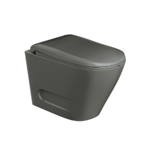 Picture of Rimless Blind Installation Wall Hung WC - Grey Matt