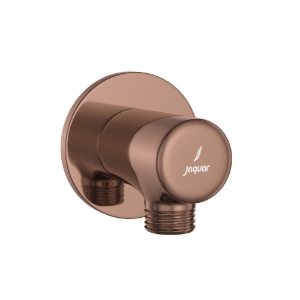 Picture of Wall Outlet -  Blush Gold Bright PVD