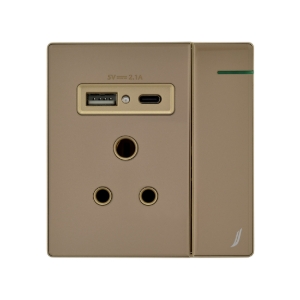 Picture of Three Pin Socket With Indicator And Big Switch And One Usb And One Type-C - Gold