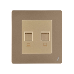 Picture of Double Computer Socket - Gold