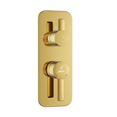 Picture of Aquamax Exposed Part Kit of Single Lever Shower Mixer - Gold Bright PVD