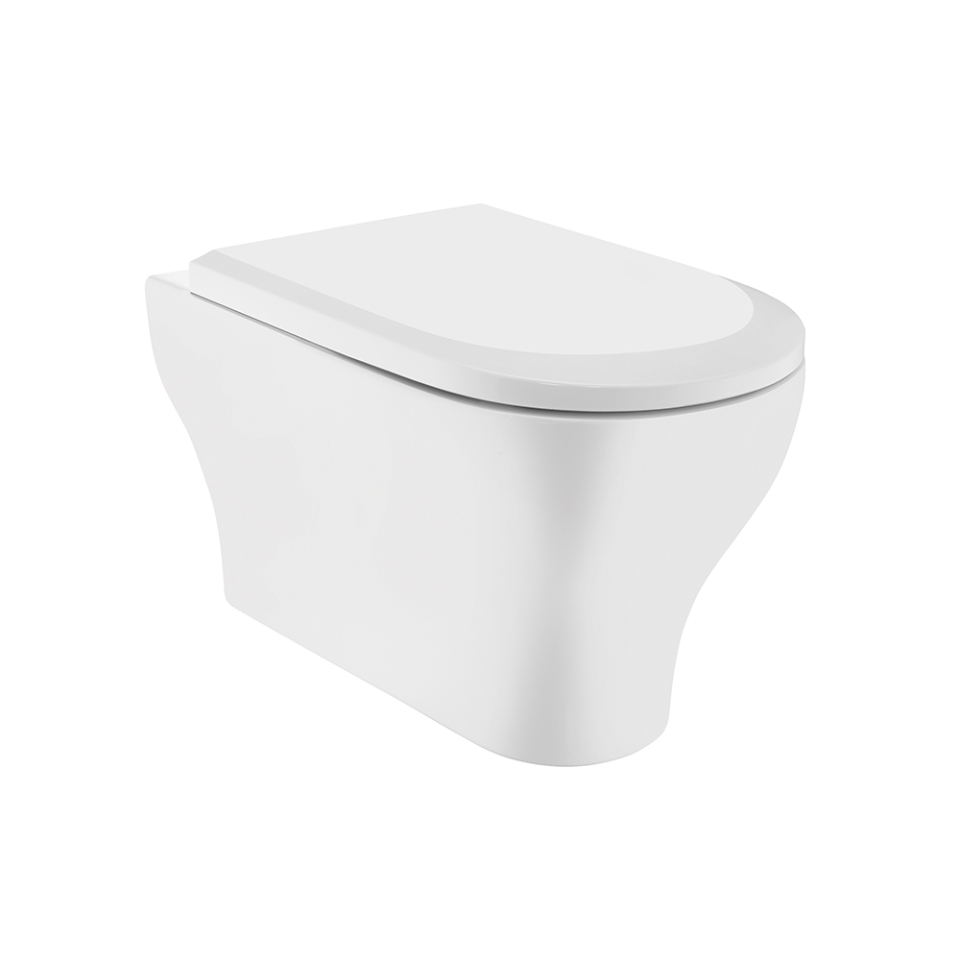Picture of Rimless Blind Installation Wall Hung WC