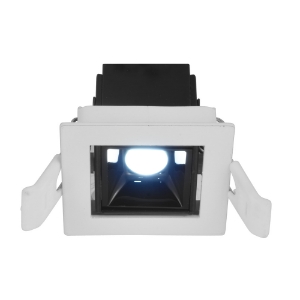 Picture of रेने स्पॉट लाइट