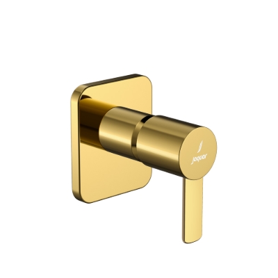 Picture of Exposed Part Kit of Concealed Stop Cock & Flush Cock - Gold Bright PVD