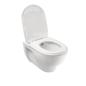 Picture of वॉल हँग- WC