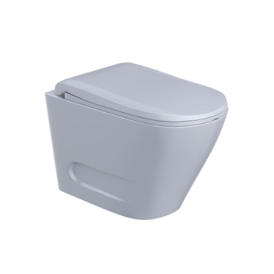 Picture of Rimless Blind Installation Wall Hung WC - Ice Blue Matt