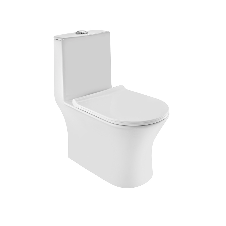 Picture of Rimless Single Piece WC