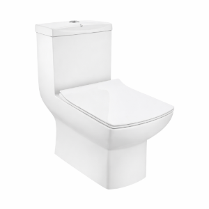 Picture of Rimless Single Piece WC