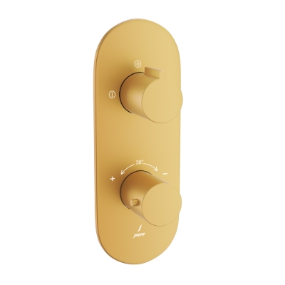 Picture of Aquamax Exposed Part Kit of Thermostatic Shower Mixer with 2-way diverter - Gold Matt PVD