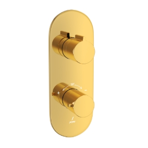 Picture of Aquamax Thermostatic Shower Mixer- Gold Bright PVD