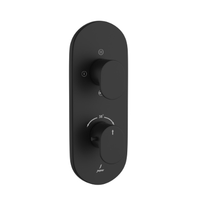 Picture of Aquamax Thermostatic Shower Mixer - Black Matt