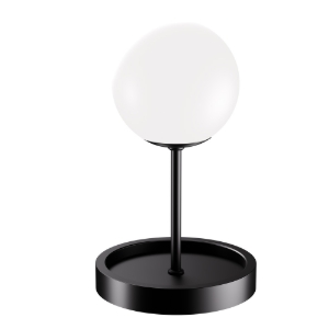 Picture of Light Table Lamp in Balck Finish