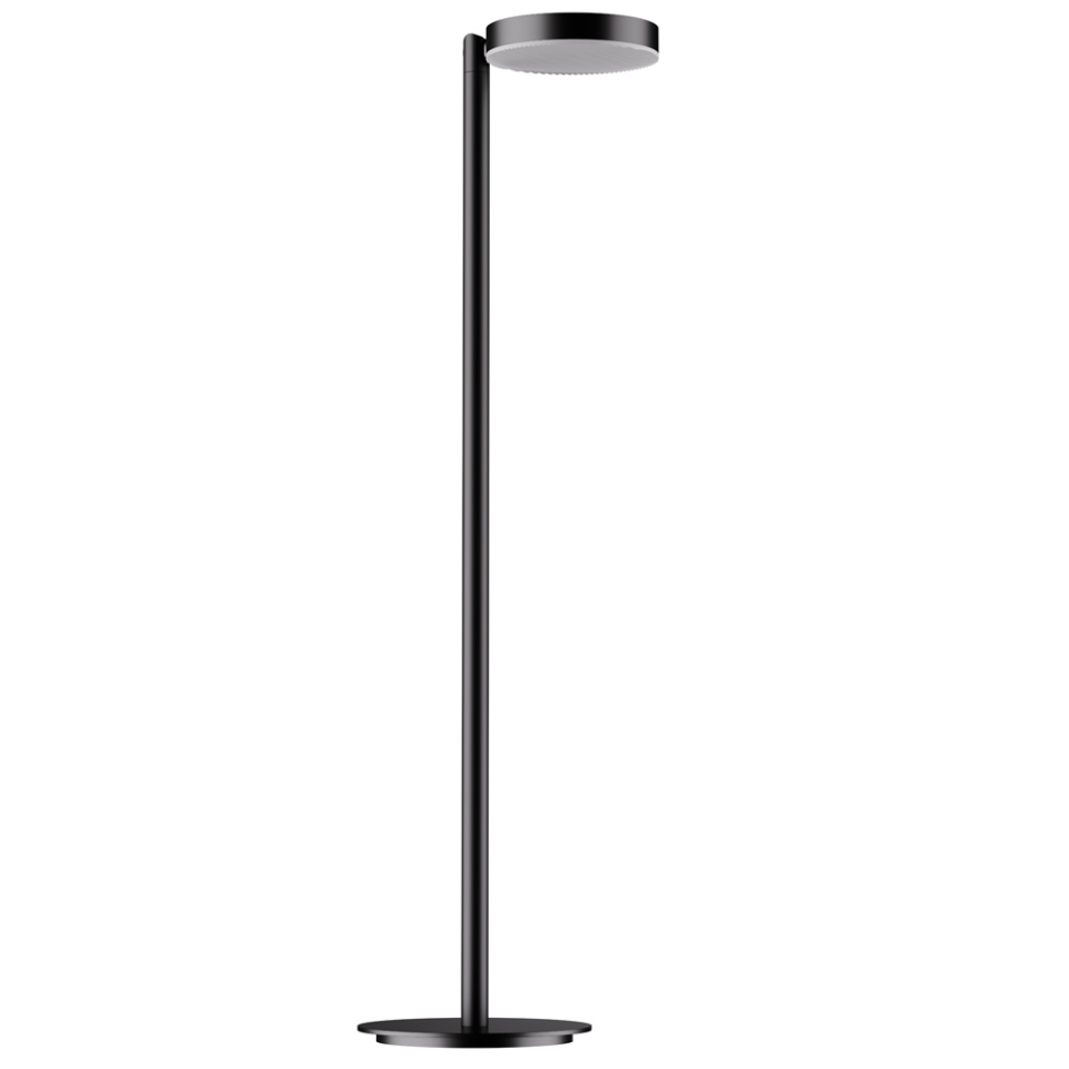 Picture of Light Floor Lamp with Goose Neck Spring in Balck Finish