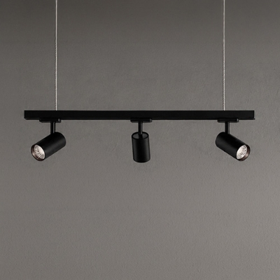 Picture for category Track Light